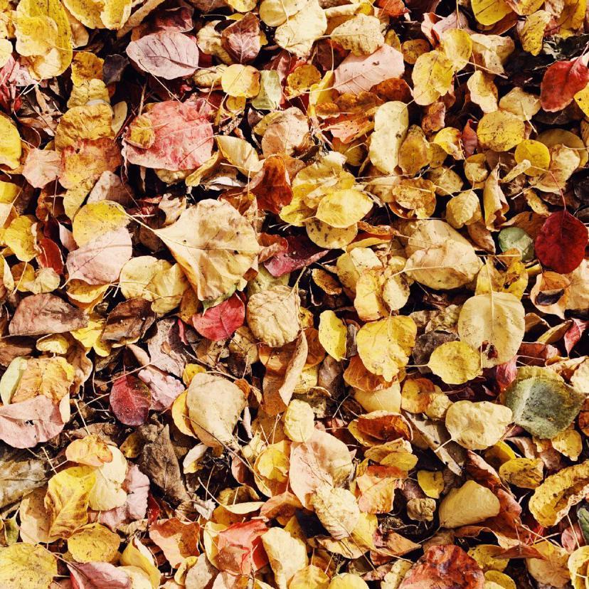 自言自语症（现场版）