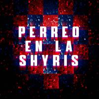 Perreo en la Shyris