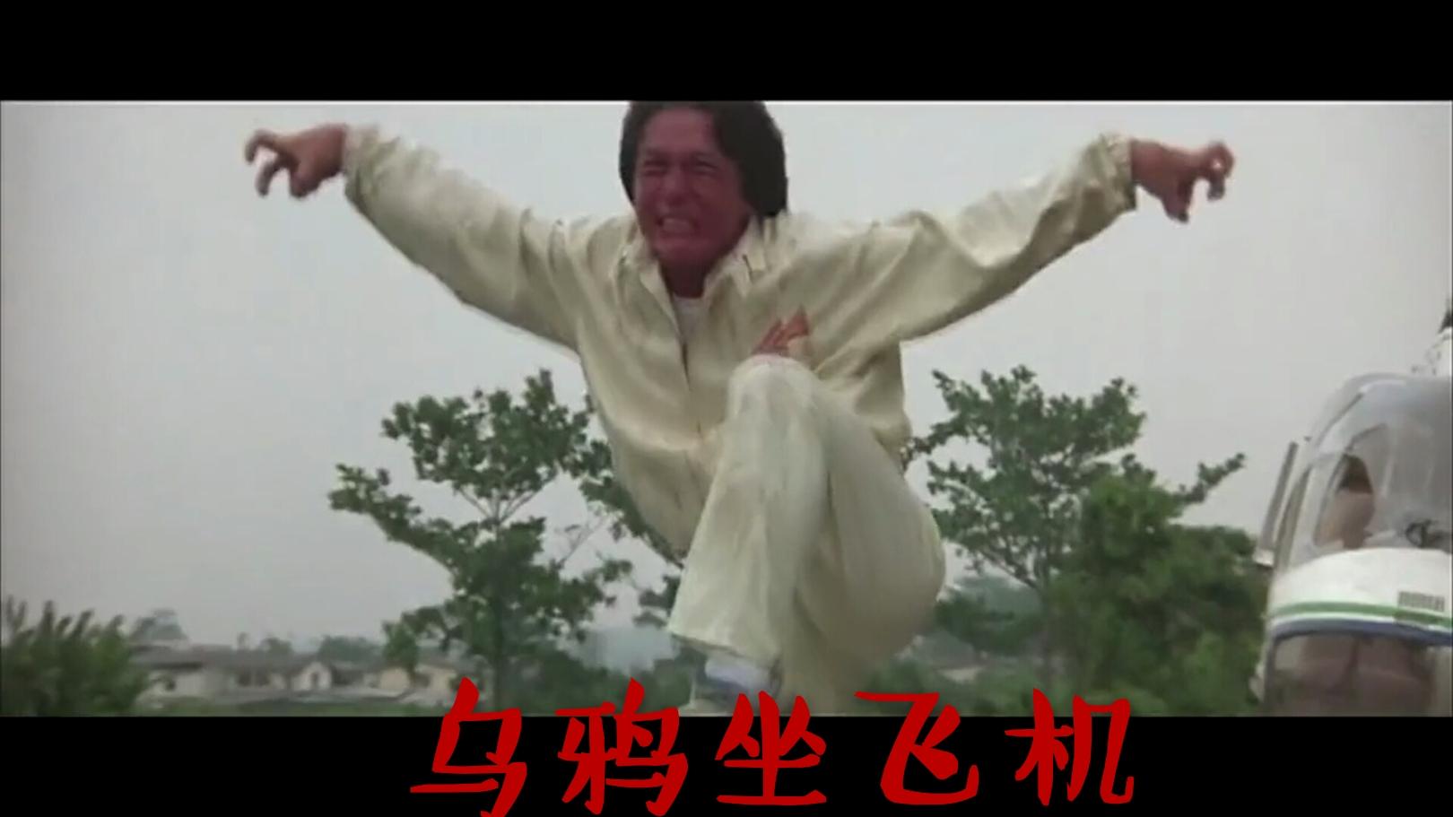 飞天猫教你说玉林话封面
