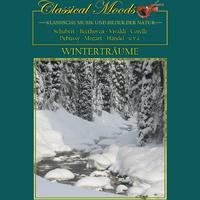 Classical Moods - Winter Dreams