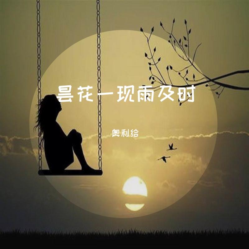昙花一现雨及时封面