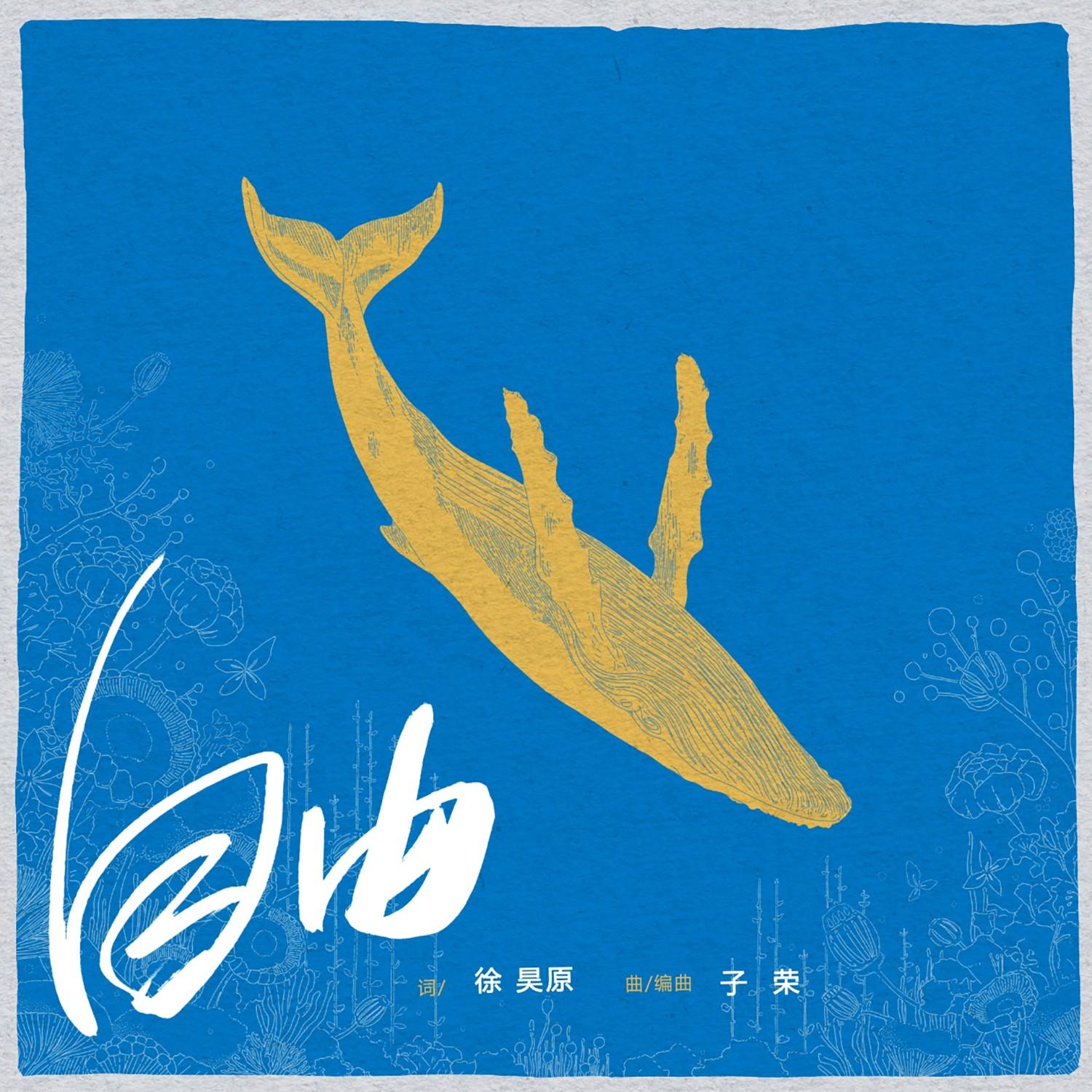 自由 (伴奏)封面