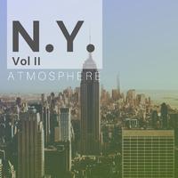 N.Y. Atmosphere Vol II