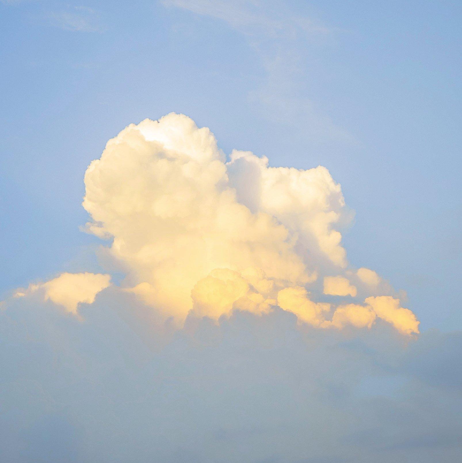 ［FREE］fight for the DREAM