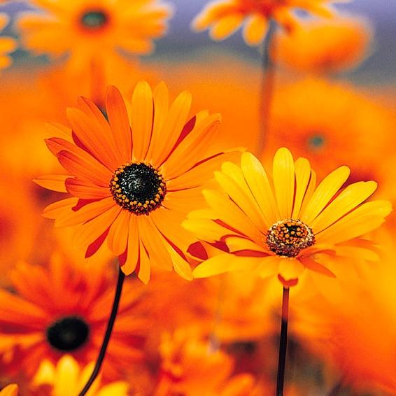 赵雷 宋冬野 毛不易 任素汐民谣歌单