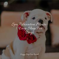 Spa Relaxation Music | Deep Sleep For Dogs