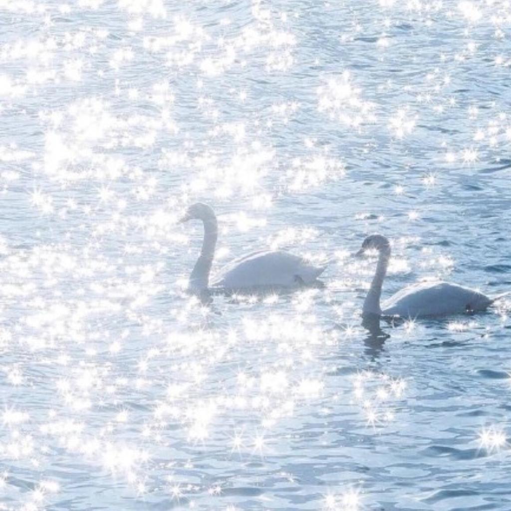 心烦气躁的时候请消消气好嘛
