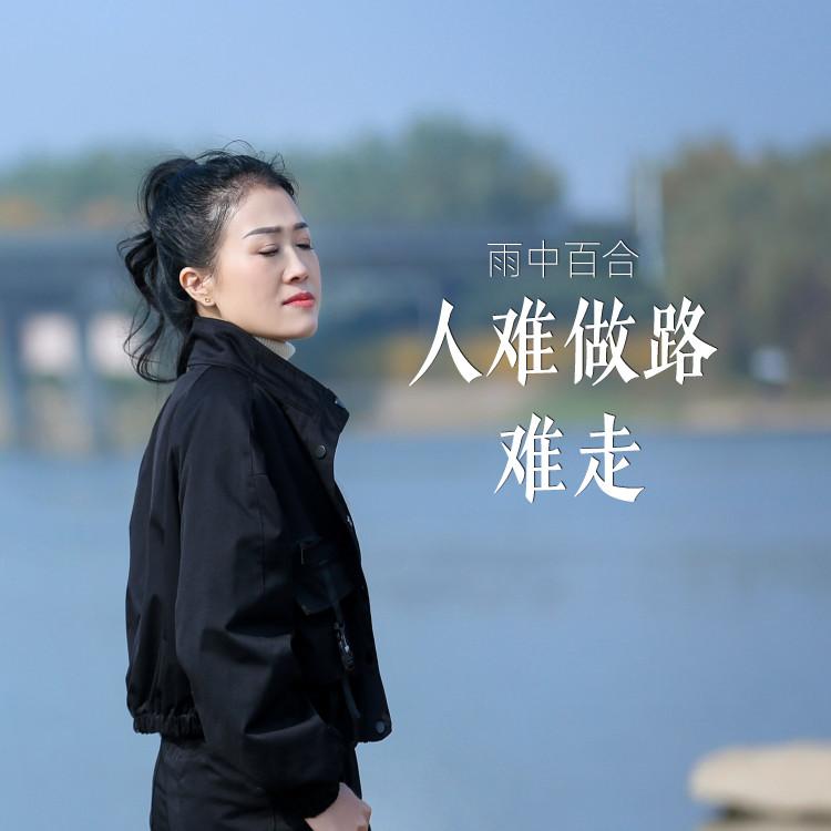 人难做路难走封面