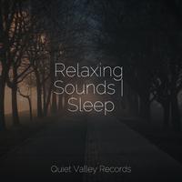 Relaxing Sounds | Sleep