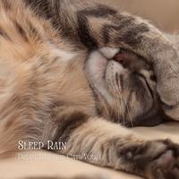 Sleep Rain: Dream Time for Cats Vol. 1