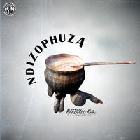 Ndizophuza