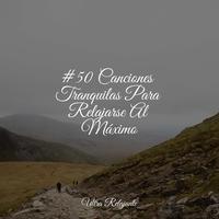 #50 Canciones Tranquilas Para Relajarse Al Máximo