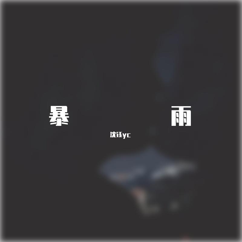 暴雨完整版