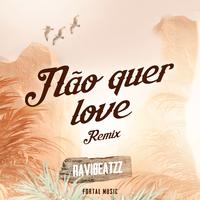 Não Quer Love (Remix)