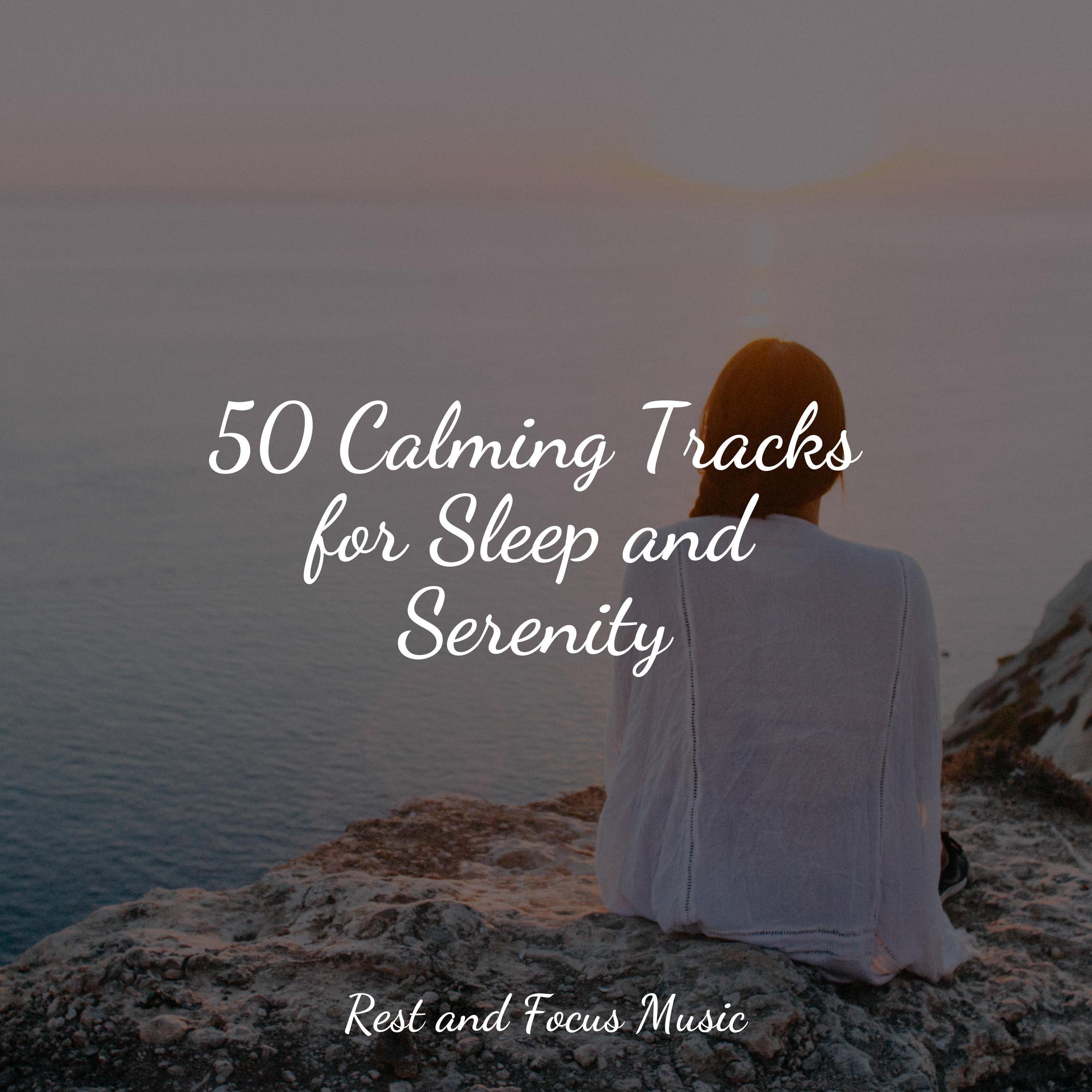 50 Calming Tracks For Sleep And Serenity The Relaxation Principle