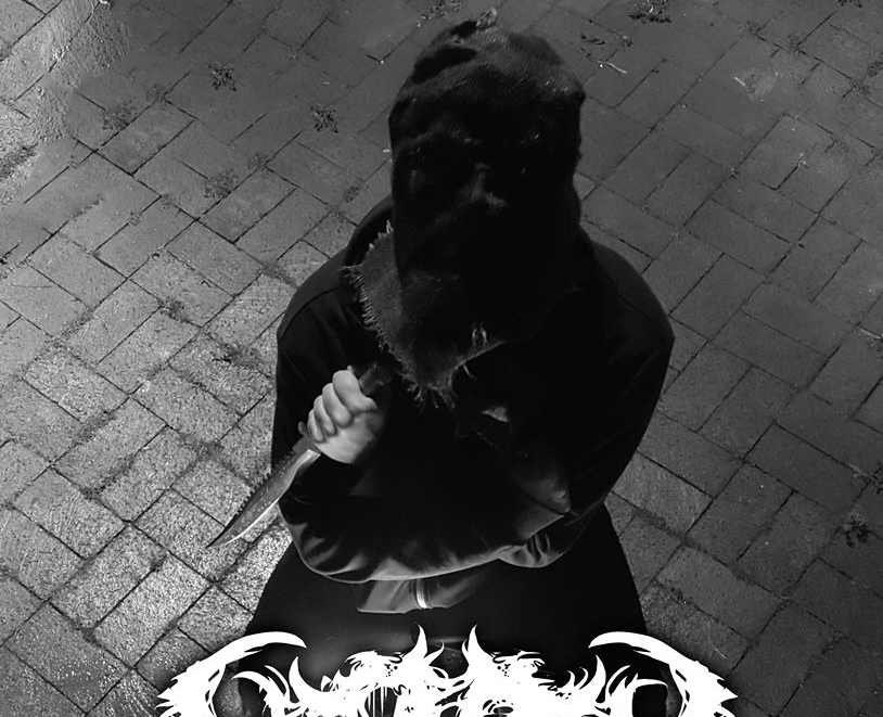 moth.