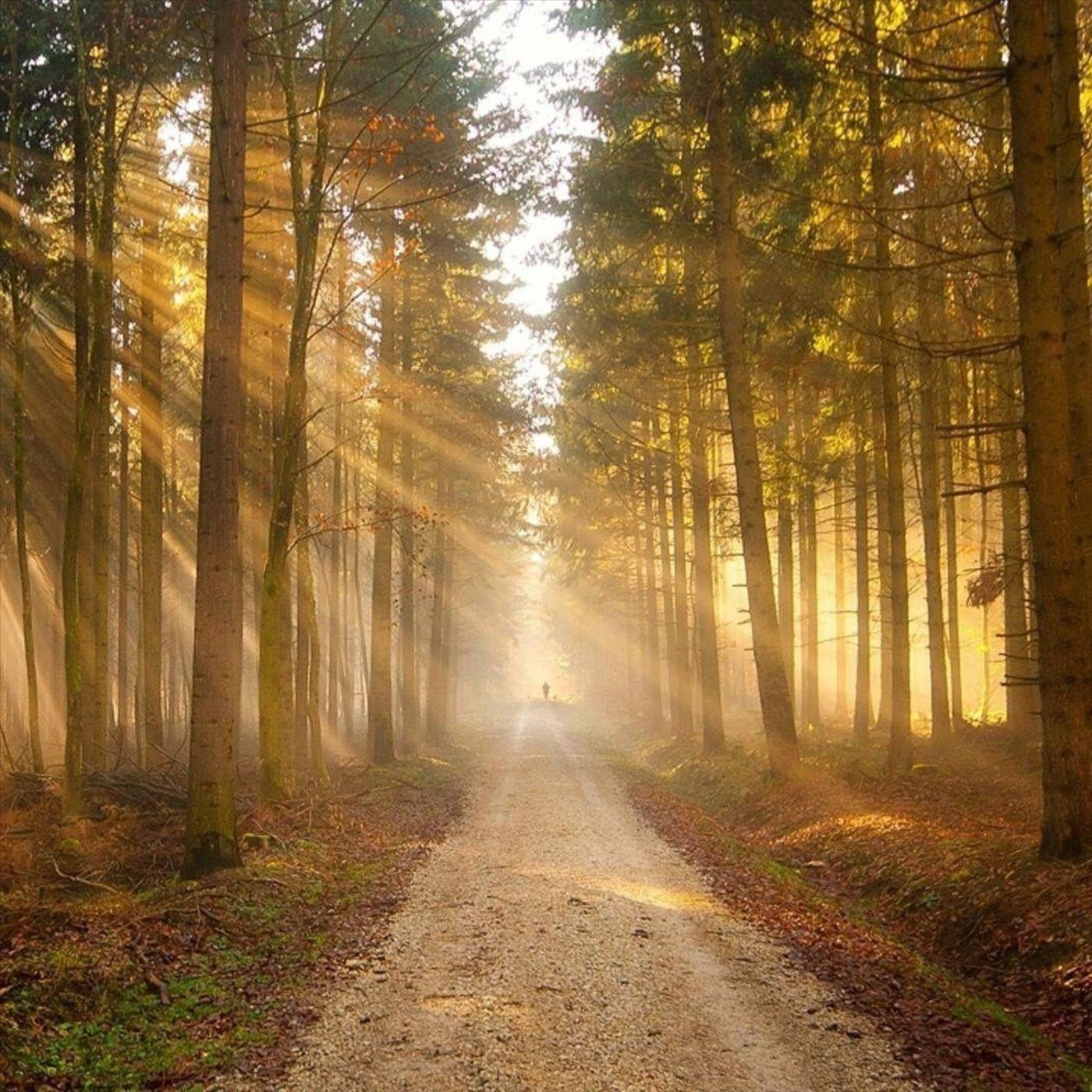 A Thousand Year (Piano Version)