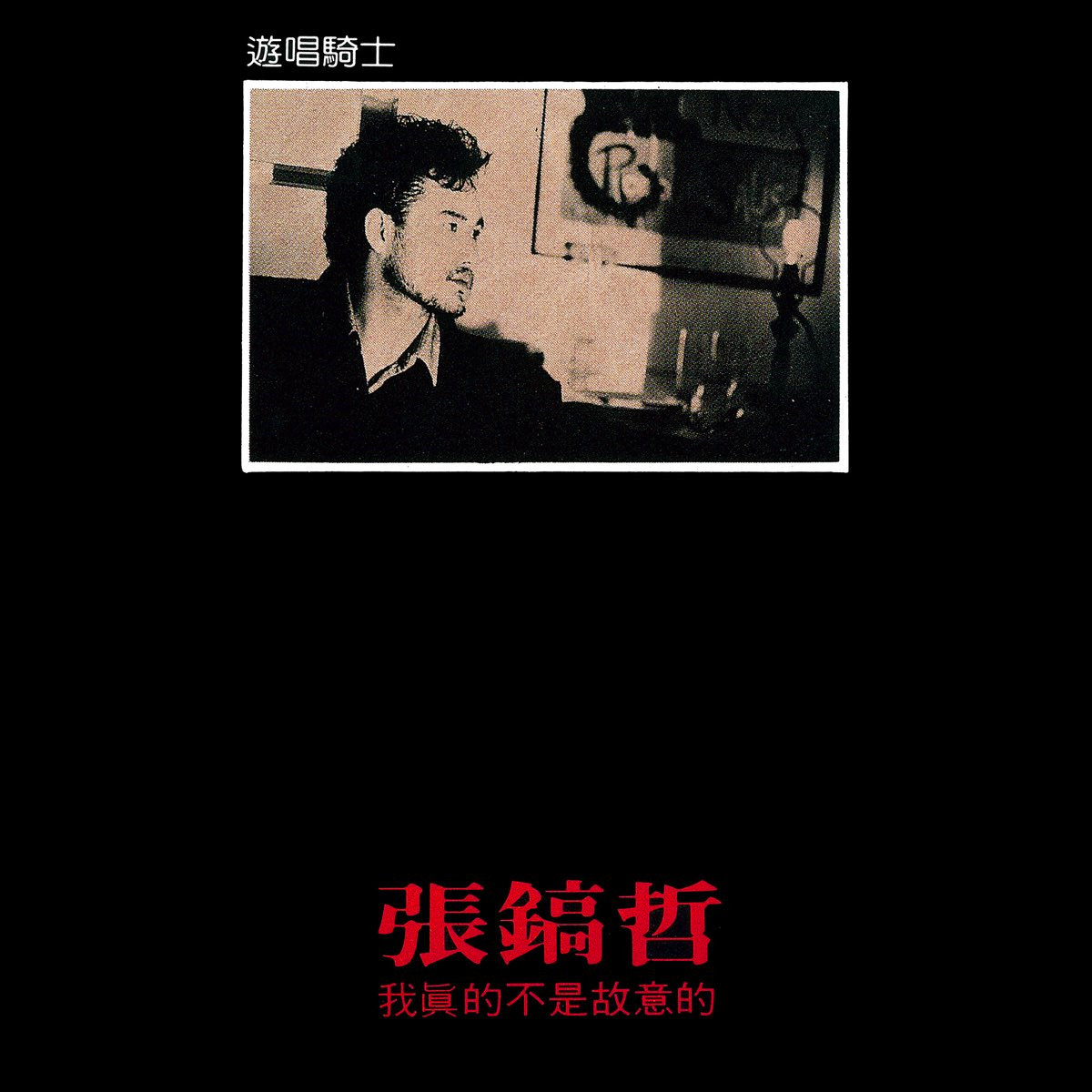 我真的不是故意的(台湾版)