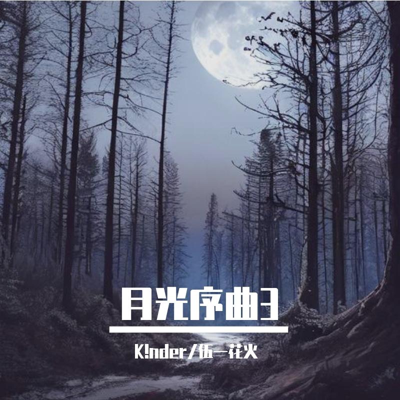 月光序曲-命运之枷封面