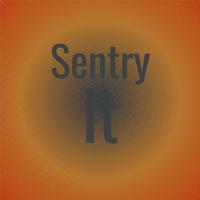 Sentry It