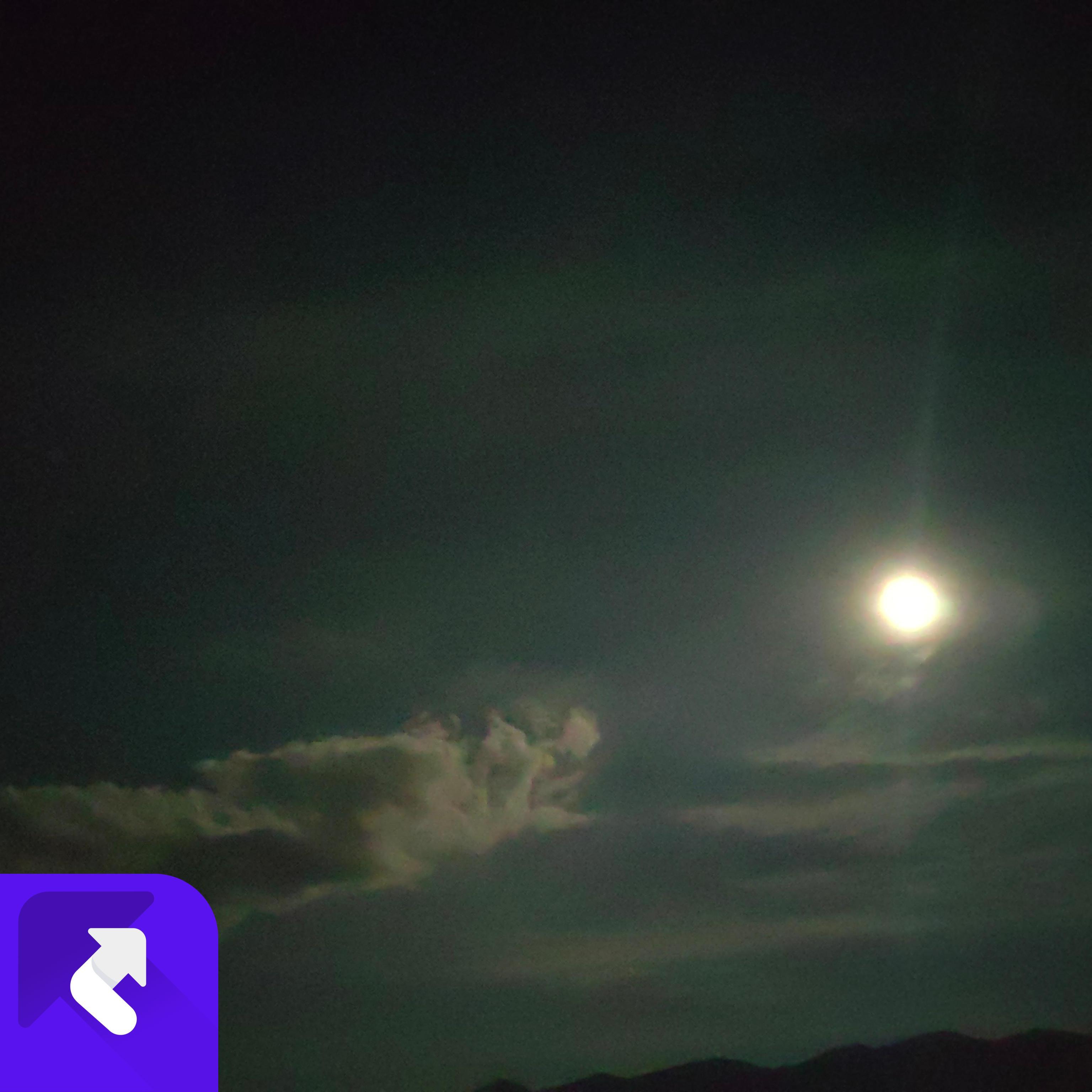 展翅高飞伴奏 (伴奏)封面