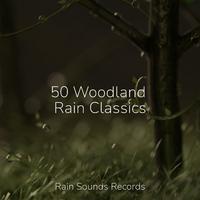 50 Woodland Rain Classics