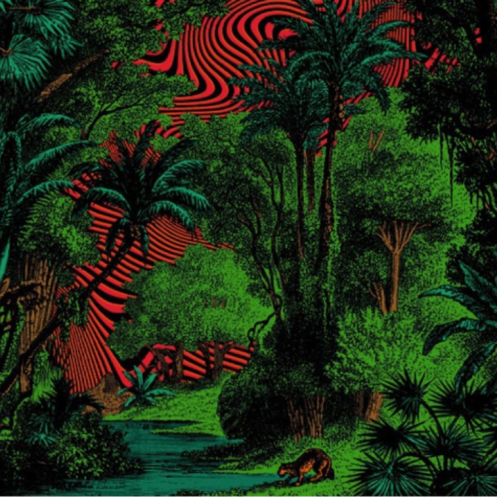 Jungle✴︎丛林深处的光斑✴︎