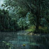 Serene Chill: Rain Sounds for Peaceful Relaxation