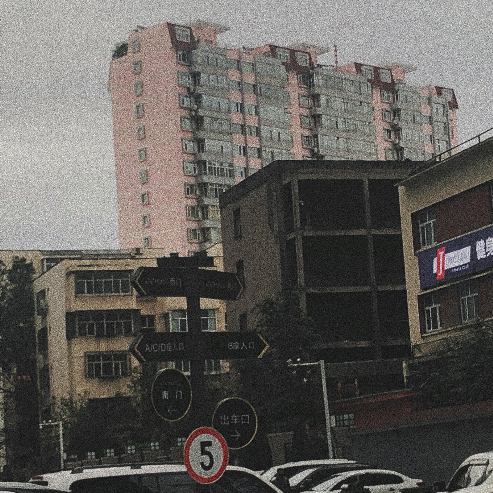 葡萄架下的篝火封面