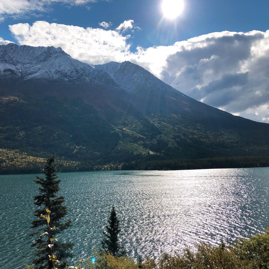 咪咪的鏟屎官Su