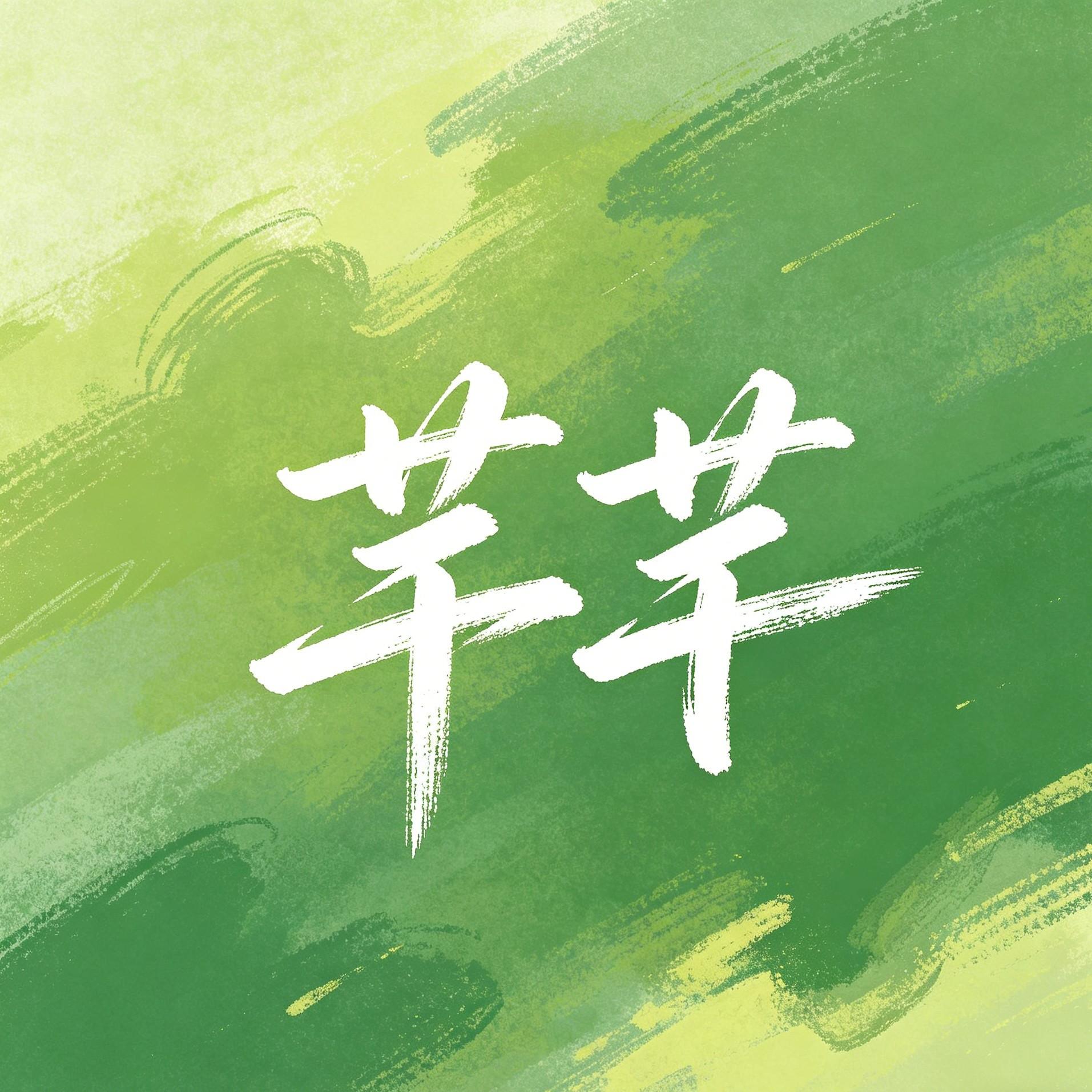 芊芊封面