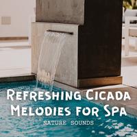 Nature Sounds: Refreshing Cicada Melodies for Spa