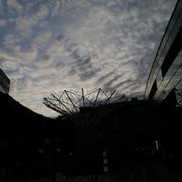 何_岸
