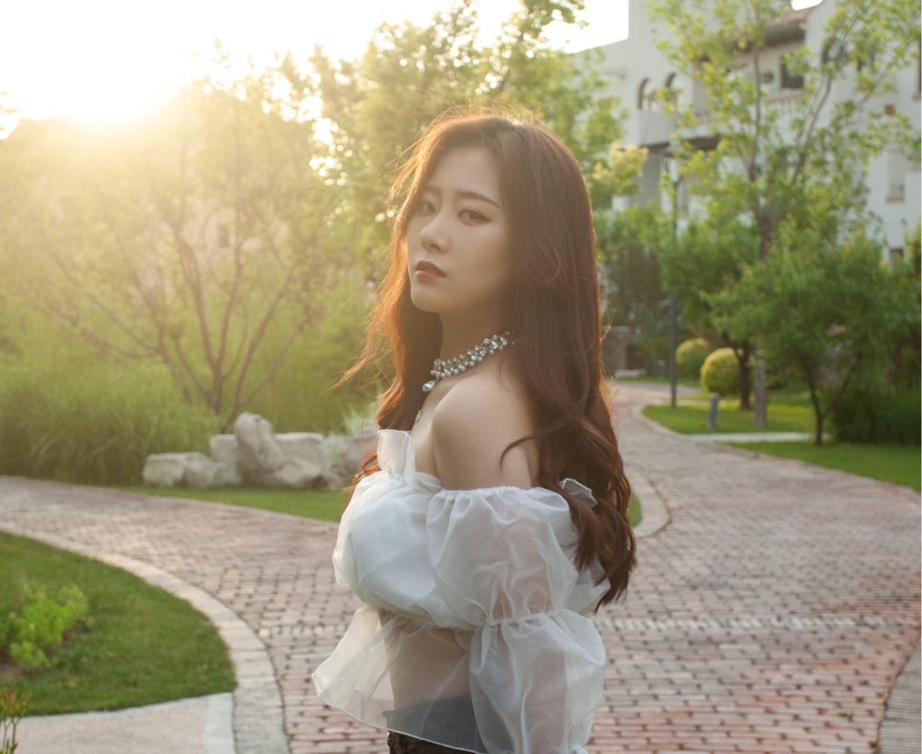 李致君