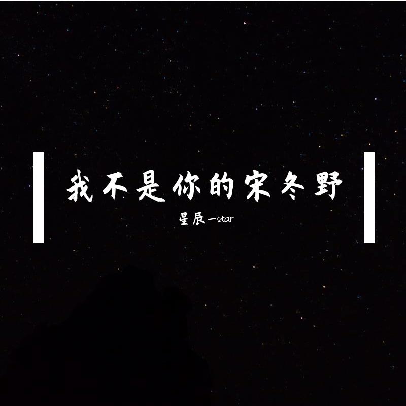 我不是你的宋冬野封面