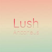 Lush Anconeus