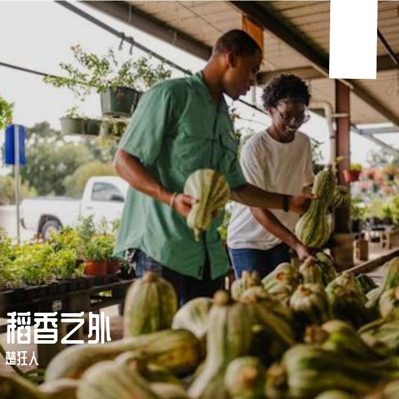 不甘 - 楚狂人封面