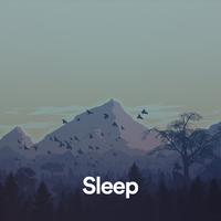 Binaural Beats Sleep (Binaural Beats For Sleep)