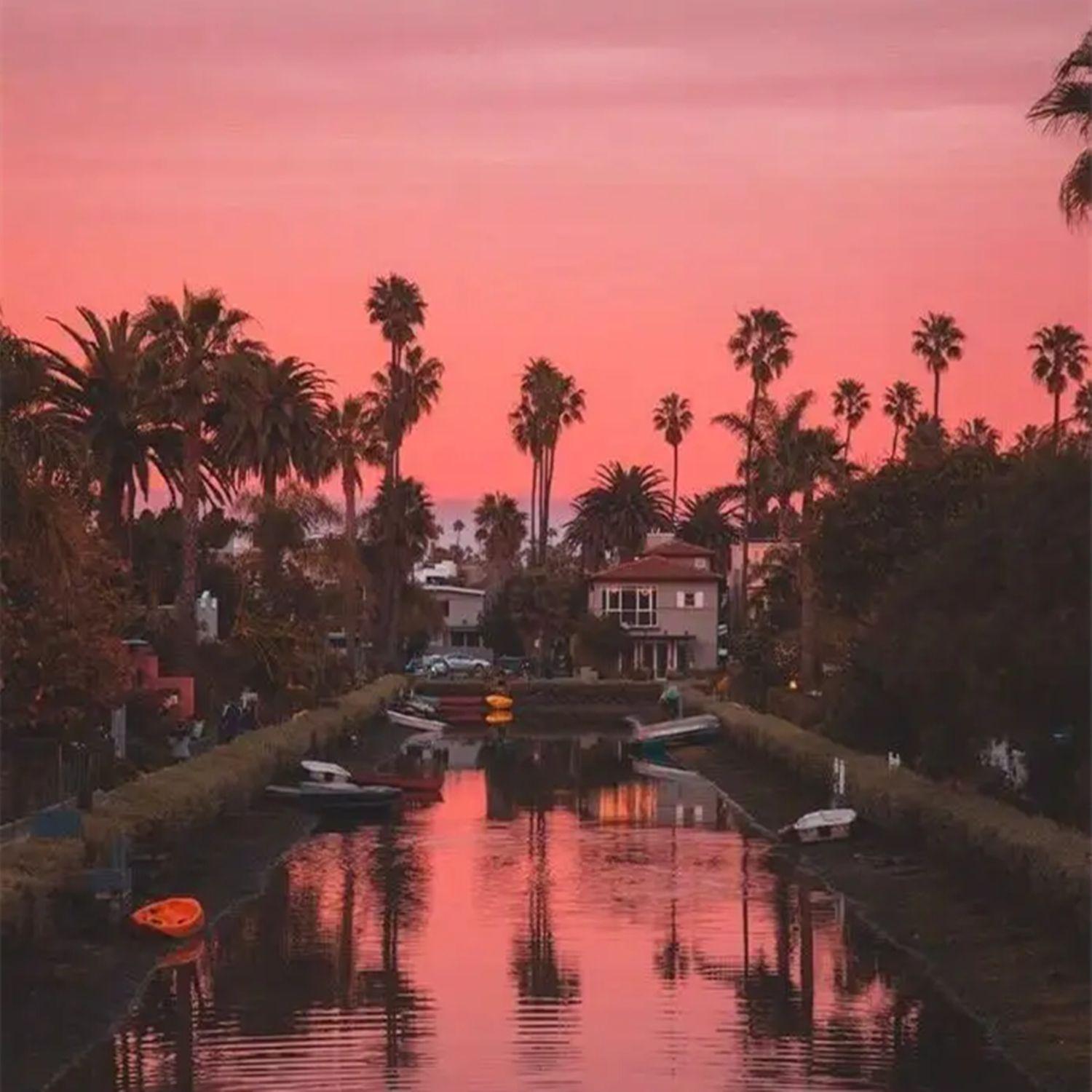 遗失的心跳（心动版）