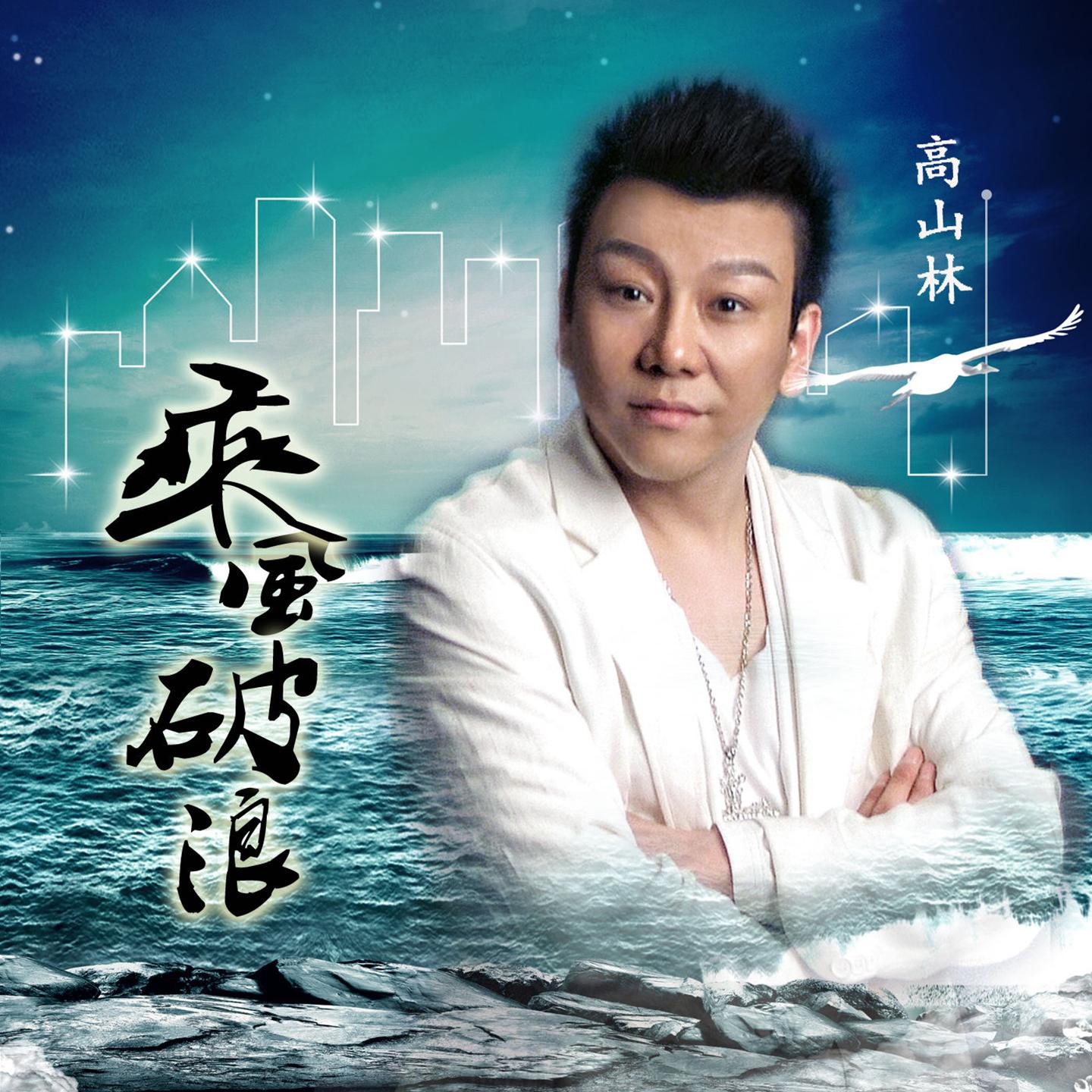 打开天窗说亮话 - 高山林封面