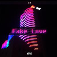 Fake Love