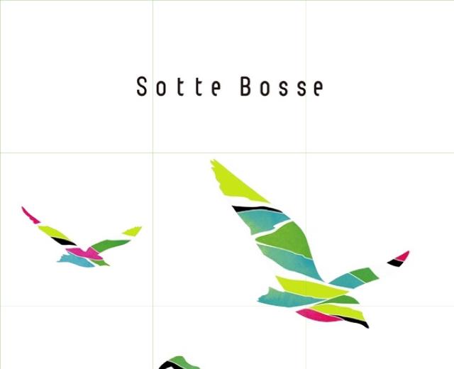Sotte Bosse