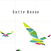 Sotte Bosse