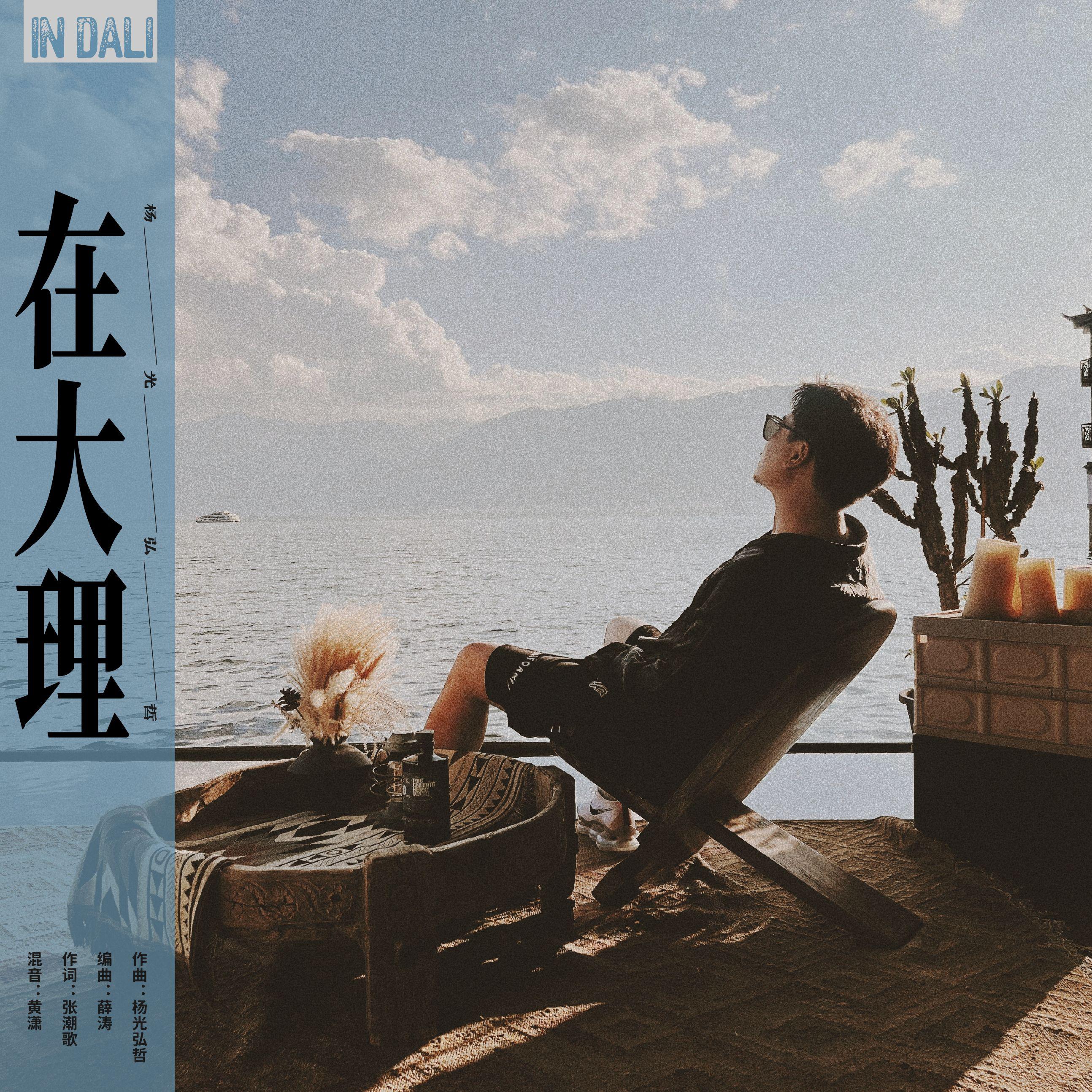 在大理专辑