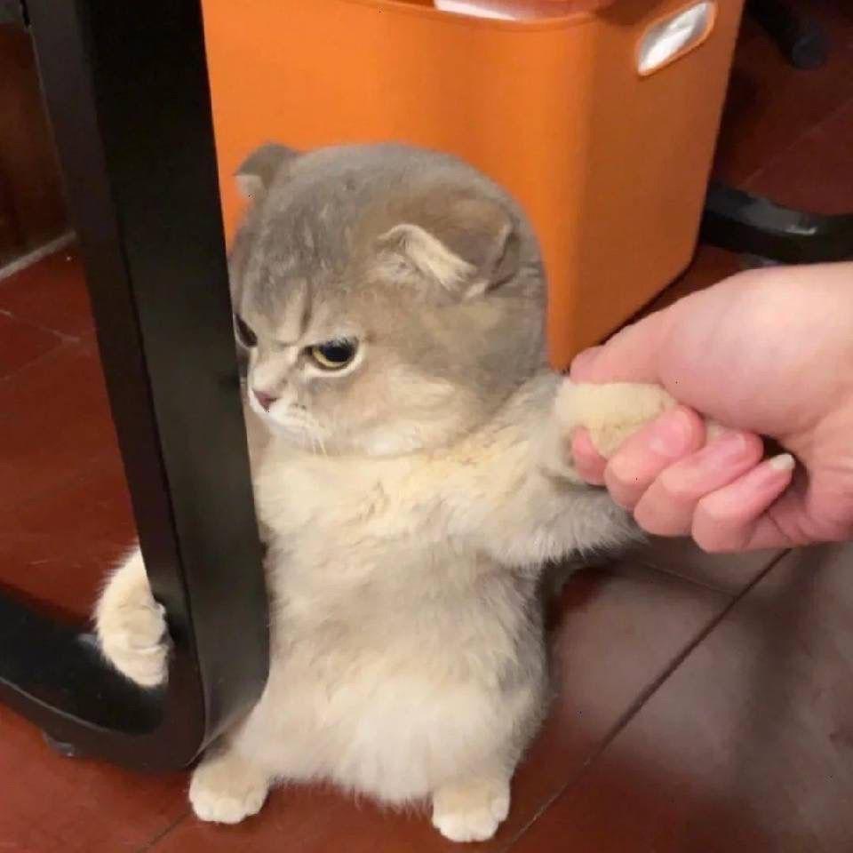 1738016622_20220410_170828