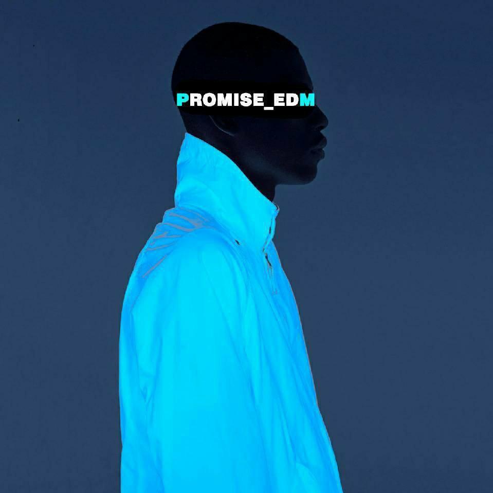 PROMISE_EDM