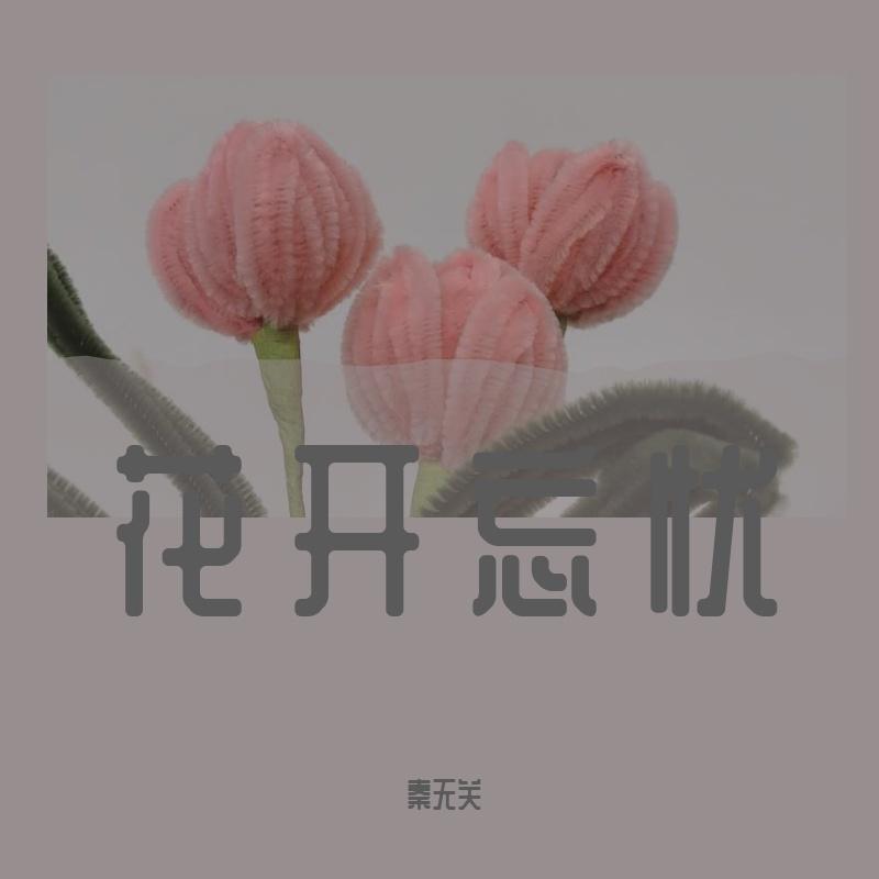 花开忘忧封面