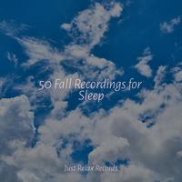 50 Fall Recordings for Sleep