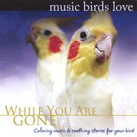 Music Birds Love: While You Are Gone