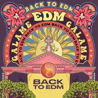 BACK TO EDM